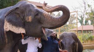 Vantara zoo-anat Ambani photo