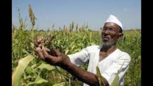 pm kisan yojna file photo