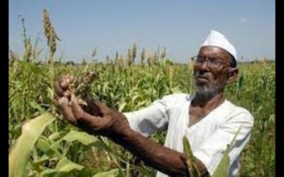 pm kisan yojna file photo